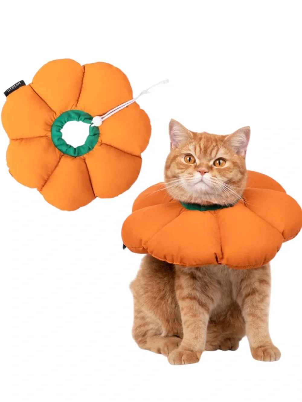 NWOT Flower Pumpkin Orange Dog Cat Recovery Cone Collar Costume